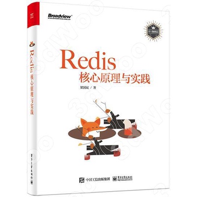 Redis 核心原理與實踐 封面
