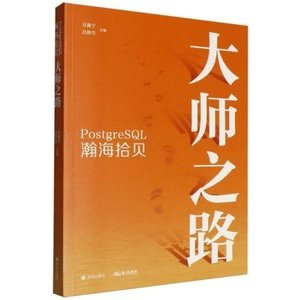 PostgreSQL瀚海拾貝：大師之路 封面