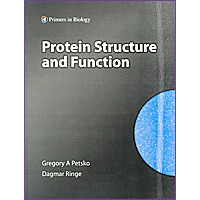 Protein Structure and Function 封面